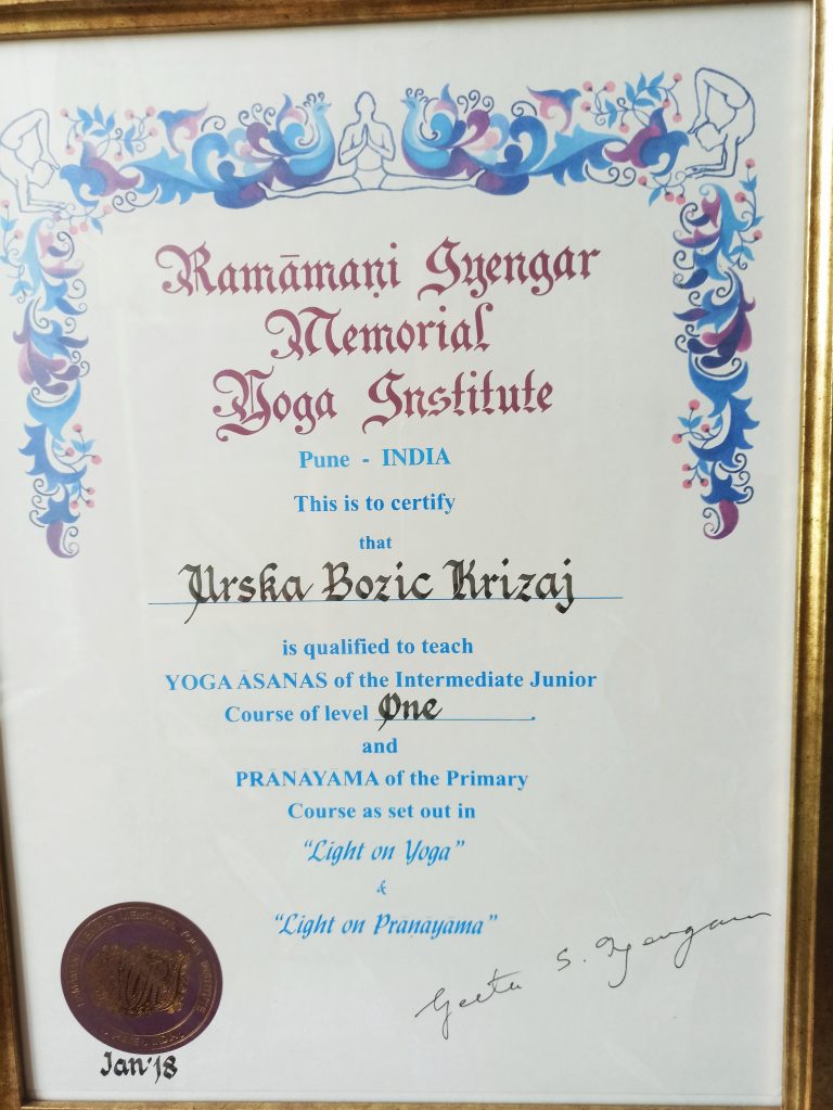 RIMYI diploma